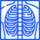 Picto d'une radio du torax